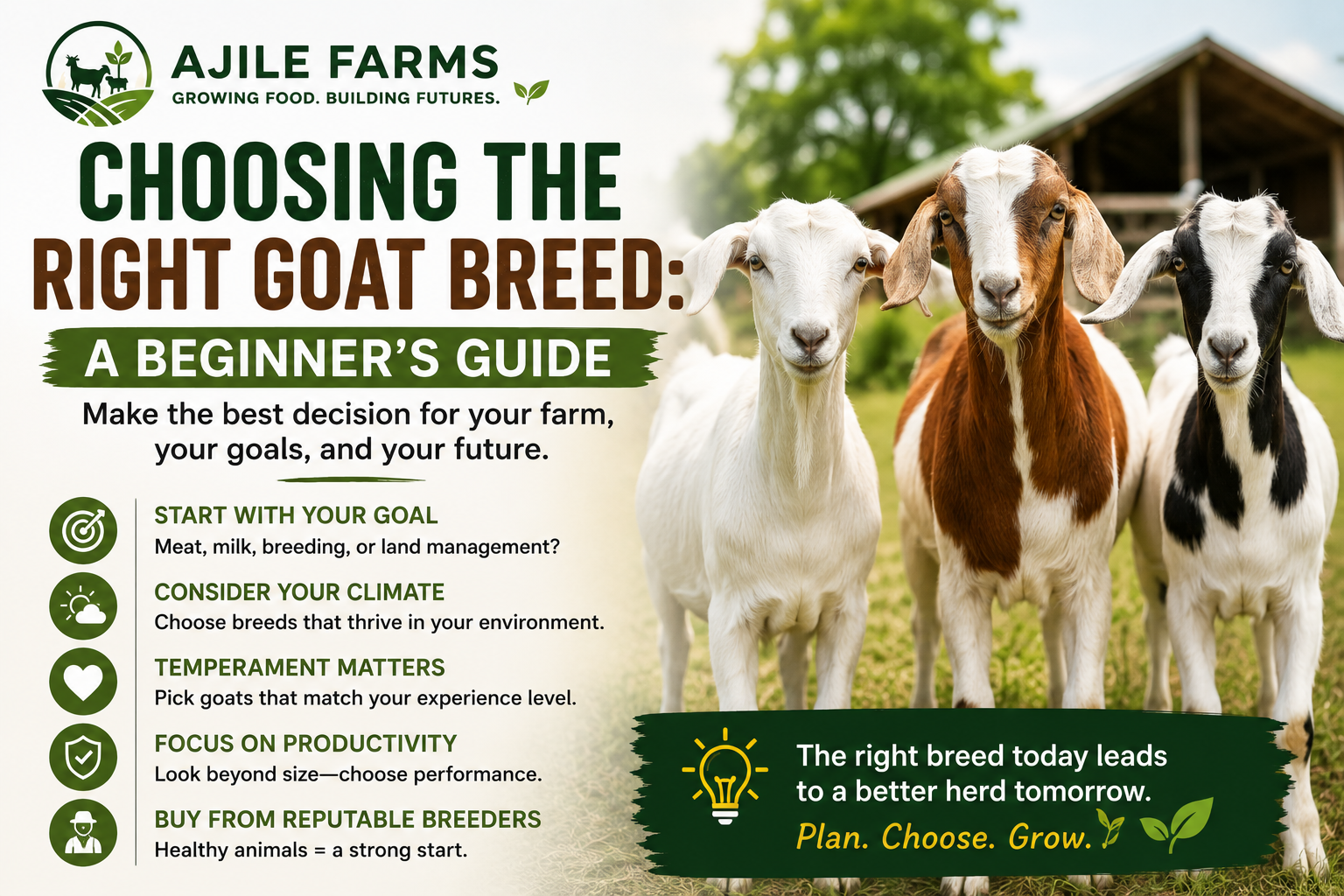 Choosing the Right Goat Breed: A Beginner's Guide to Making the Best Decision