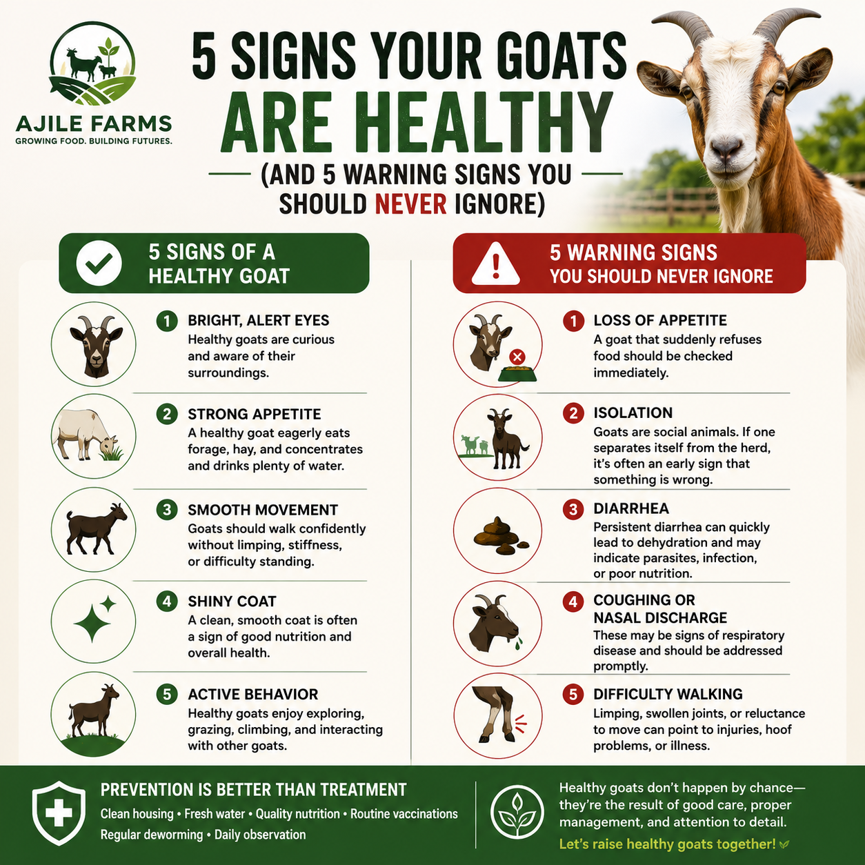 5 Signs Your Goats Are Healthy (And 5 Warning Signs You Should Never Ignore)