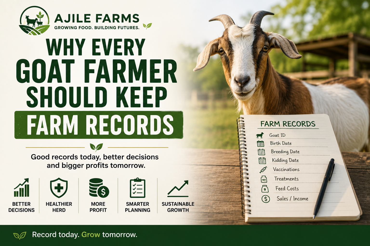 Why Every Goat Farmer Should Keep Farm Records (Even If You Own Only 5 Goats)