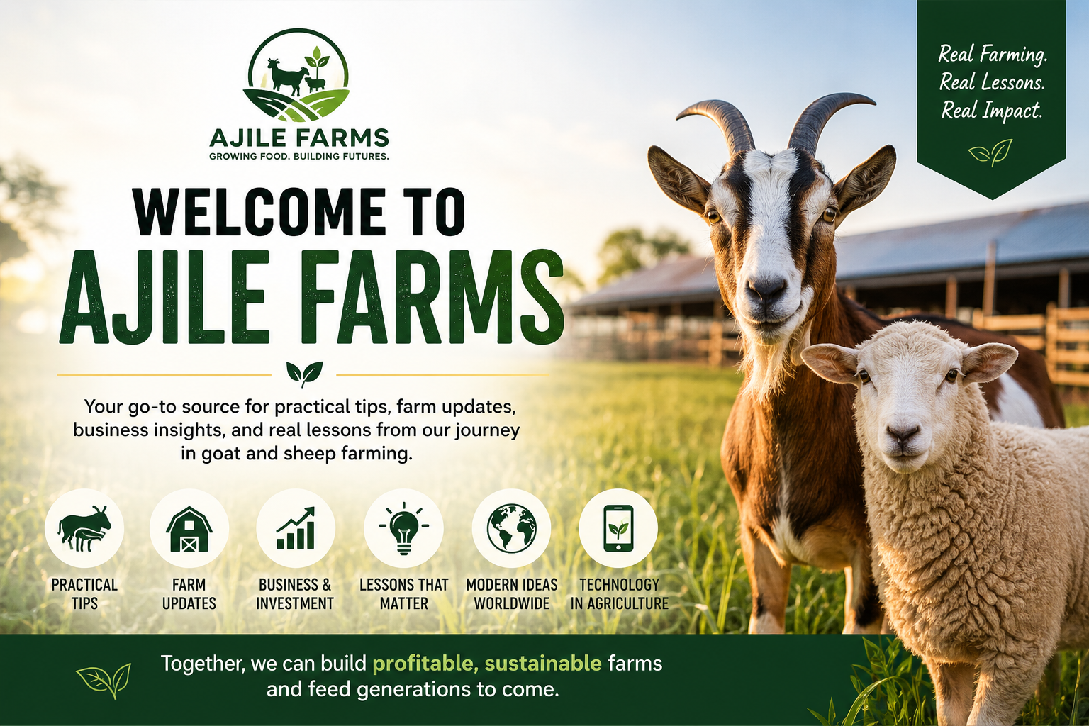🌱 Welcome to Ajile Farms
