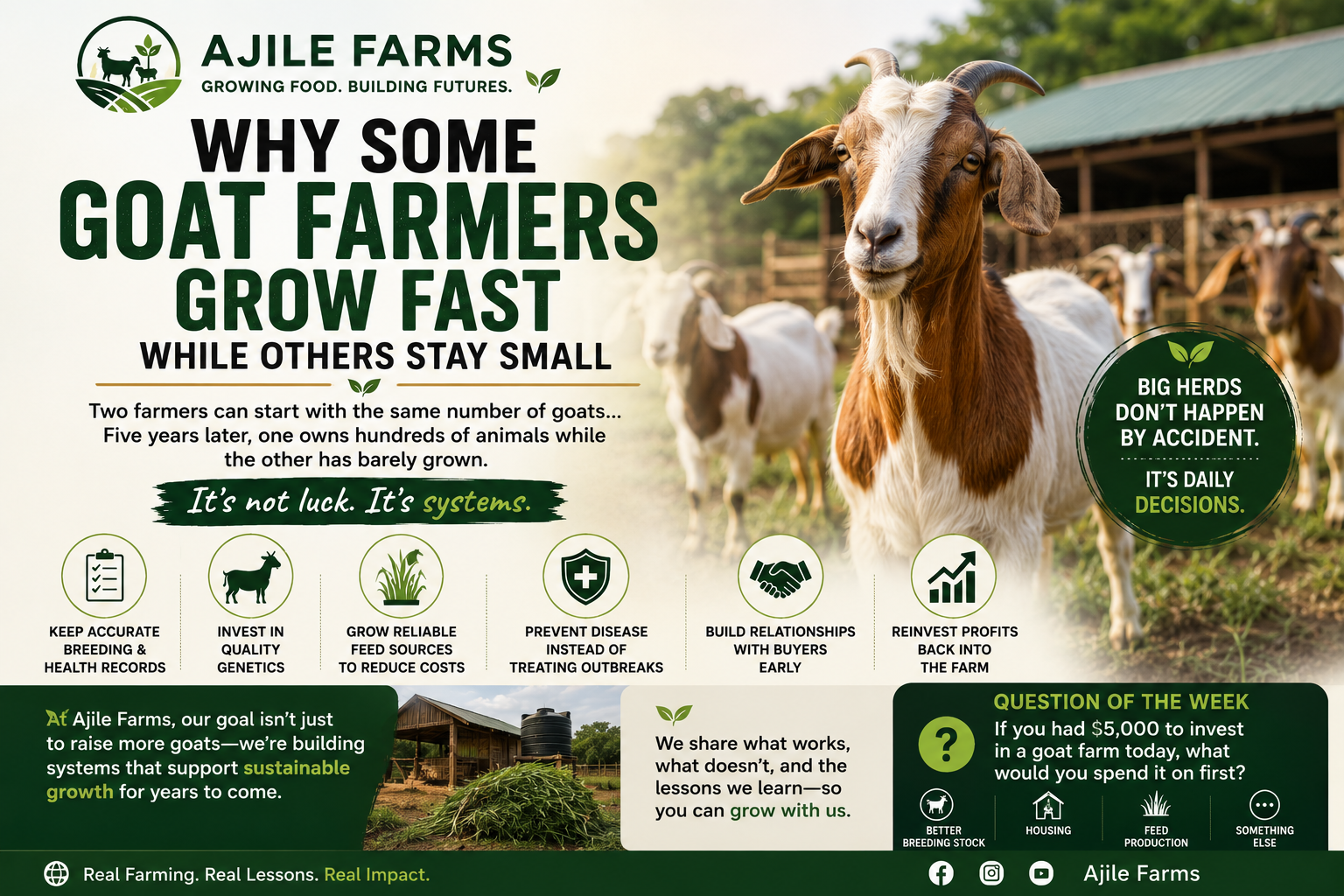 🌿 Why Some Goat Farmers Grow Fast While Others Stay Small